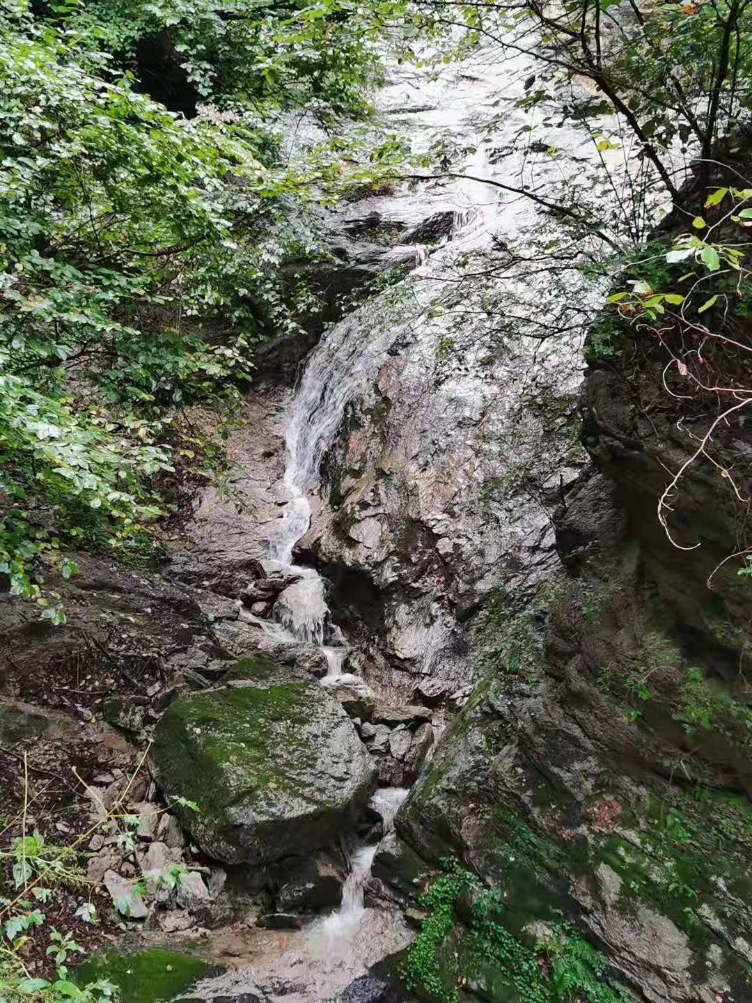 1631762547252046.jpg 7.jpg